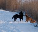 vriendin chelsey _30-01-10_6